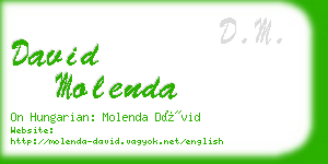 david molenda business card